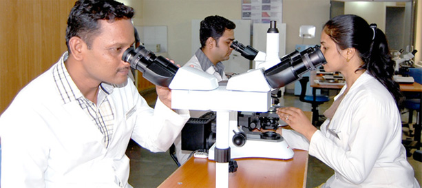 Rural Dental College